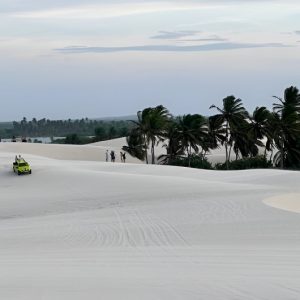170593017765ae6dc17b53d-barrinha-de-baixo5